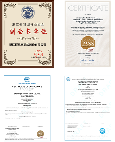 C2FCAB3D842B196CB68803F8D2B4BA47.png